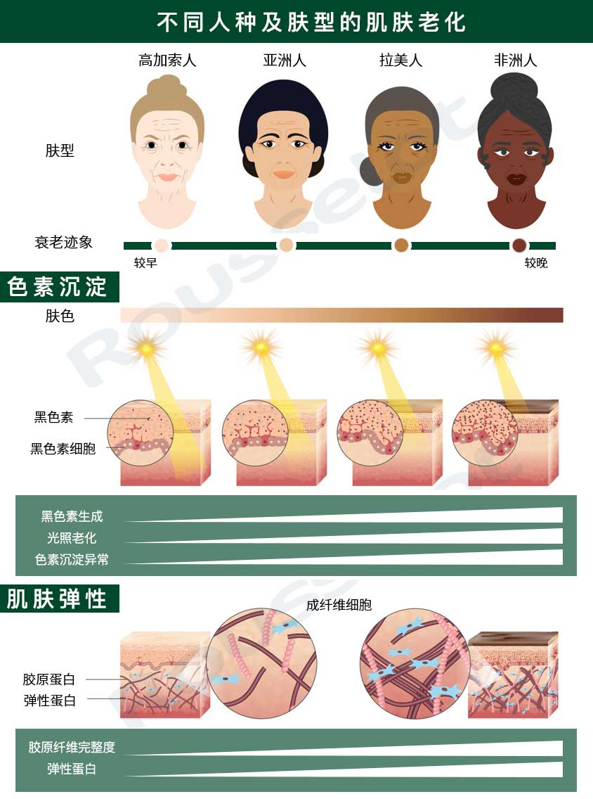 歌锐娜活性蛋白酶，定制更适合国人肤质的刷酶方案