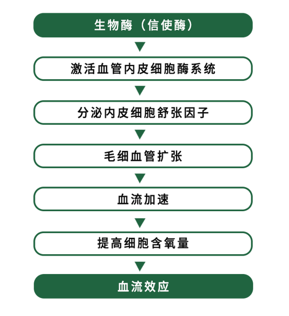 歌锐娜活性蛋白酶，定制更适合国人肤质的刷酶方案